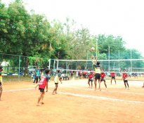 Volley ball8